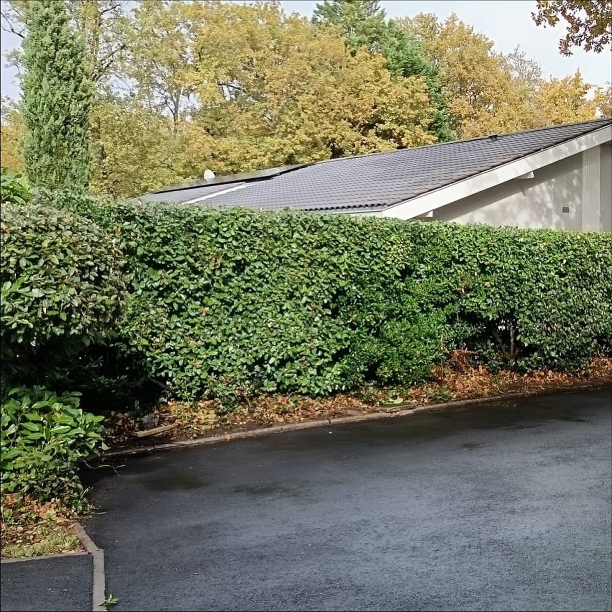 Sud Ouest Environnement s'occupe de l'entretien de votre jardin !