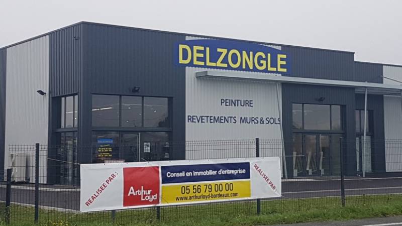 Distributeur en peinture et décoration interieur Ambares DELZONGLE